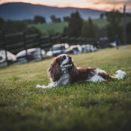 Beskid Sielski - Klimatyczne W Lipowej Z Widokiem Na Gory I Sauna - Dream * Zywiec